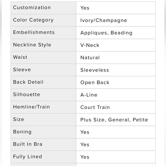 A-Line Court Train Tulle And Lace Wedding Dress, Cocomelody NWT - Picture 7 of 10